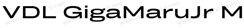 VDL GigaMaruJr Medium字体转换